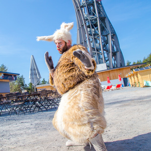Osterhase