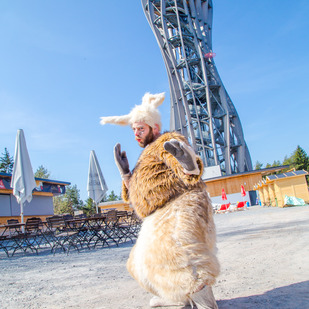 Osterhase