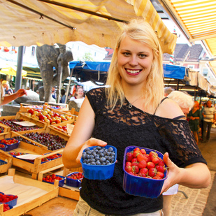 Benediktinermarkt