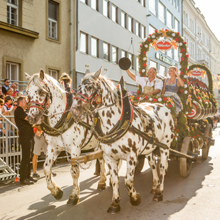 Villacher Kirchtag 2017 - Trachtenumzug