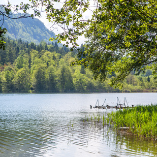 Rauschelesee