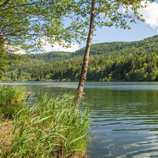 Rauschelesee