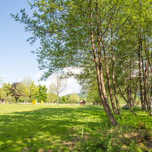 Rauschelesee