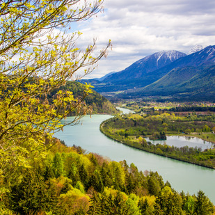 Frühling an der Drau