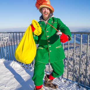 Weihnachtself