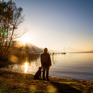 Hundewiese