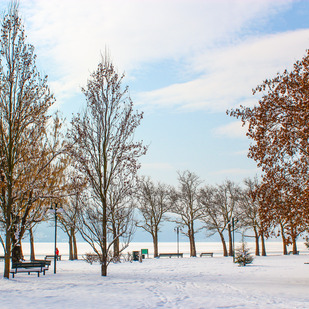 Winter