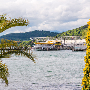 Blumen am Hafen
