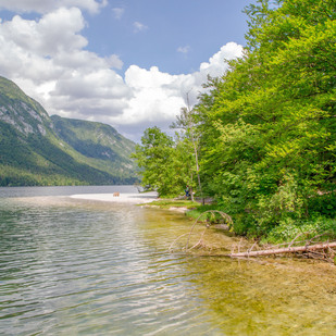 Bohinjsko jezero