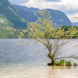 Bohinjsko jezero