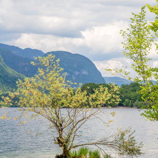 Bohinjsko jezero