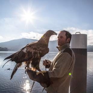 Adler