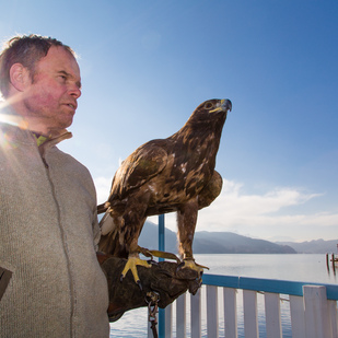 Adler