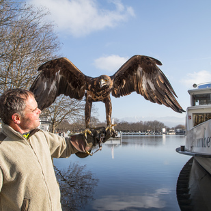 Adler