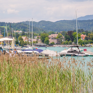 Velden