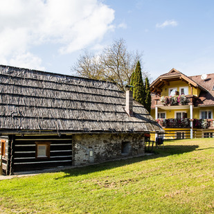 Bauernhaus - Liendl