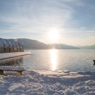 Sonnenbucht im Winter
